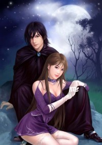 妻妾鬥：正妻不下堂