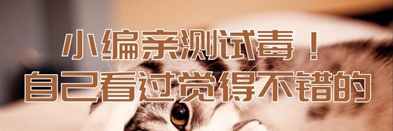 小编亲测试毒！自己看过觉得不错的